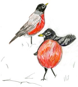 [10255] #R.e.a.d~ ~O.n.l.i.n.e@ Bird-Watcher's Diary Entries: An Illustrated Chapbook Jane Beal - Jane Beal !ePub^