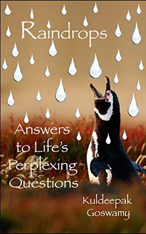 [25a0c] @R.e.a.d! %O.n.l.i.n.e@ Raindrops: Answers To Life's Perplexing Questions - Kuldeepak Goswamy ^P.D.F~