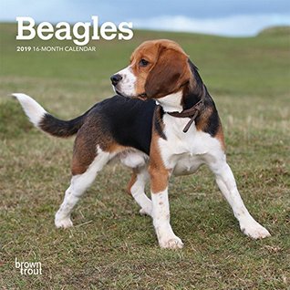 [095cb] #Read% %Online@ Beagles 2019 7 x 7 Inch Monthly Mini Wall Calendar, Animals Dog Breeds (Multilingual Edition) -  *ePub~